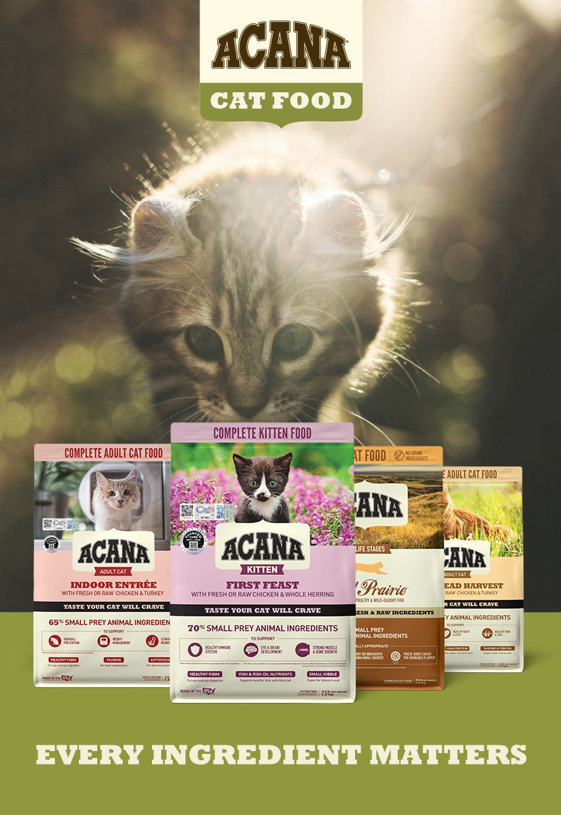 Acana First-Time Dry Food High Protein Fish Kitten